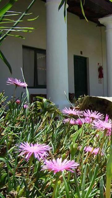 Lo De Penalba Bed and Breakfast Cafayate Εξωτερικό φωτογραφία